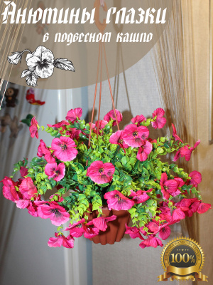 анютины глазки в подвесном кашпо