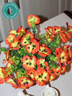 анютины глазки в кашпо