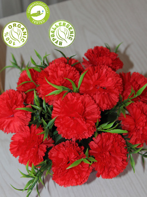 цветы в кашпо