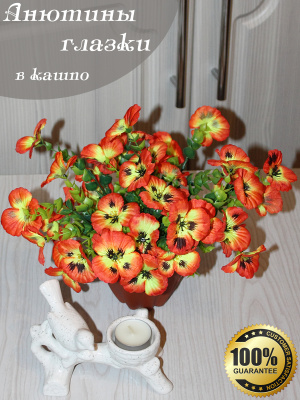 анютины глазки в кашпо