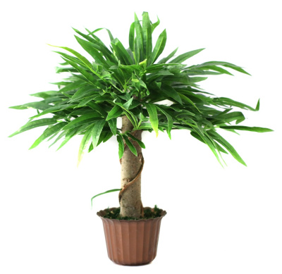 л-64-00-2