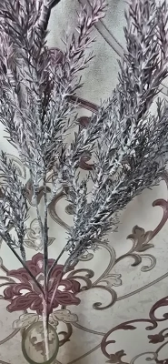 Декоративная ветка зелени можжевельника