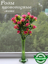 Розы (букет)