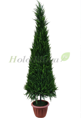 Картинка с сайта