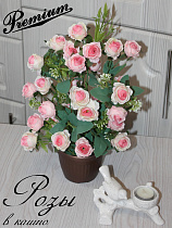 розы в горшке