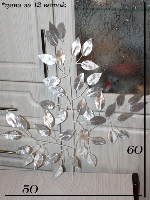 Ветки фикуса