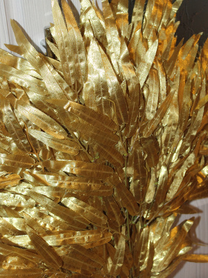 ветки бамбука