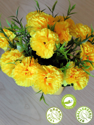 цветы в кашпо