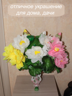 Лотос розовый