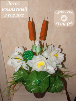 Лотос белый