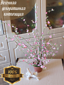 Вишня в горшке