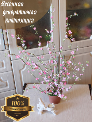 Вишня в горшке