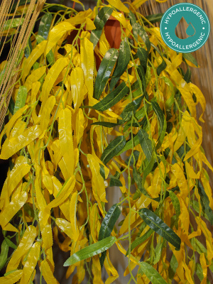 Свисающие кусты в подвесном кашпо