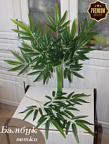 ветка бамбука