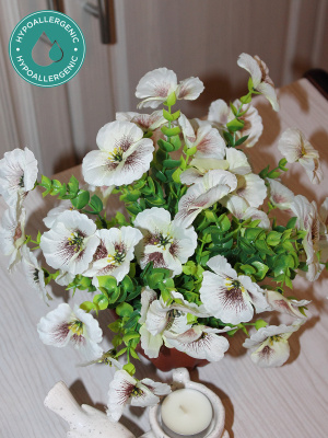 анютины глазки в кашпо