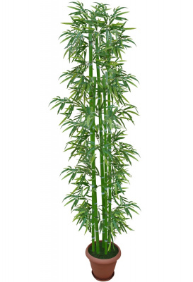 Бамбук-А-00-28-2