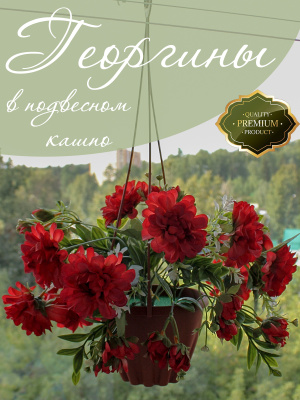 Цветы в подвесном кашпо 