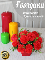 цветы в кашпо