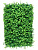 Фитостена