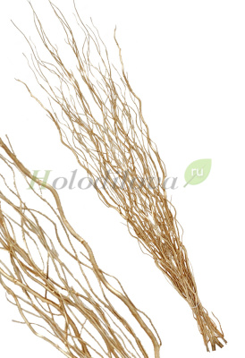 Картинка с сайта