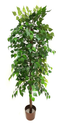 НоменклатураПрисоединенныеФайлы