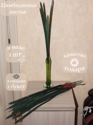 Цимбидиевые листья