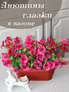 анютины глазки в вазоне