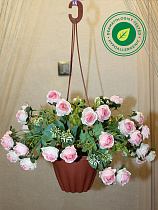 Розы в подвесном кашпо