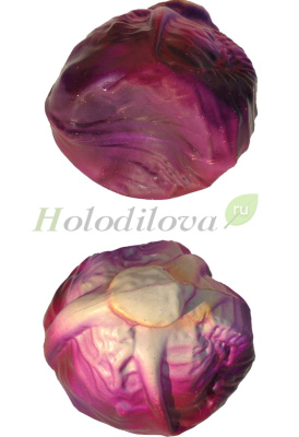 Картинка с сайта