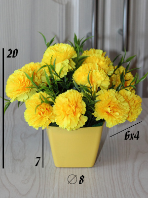 цветы в кашпо