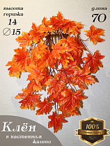 Свисающие кусты в настенном кашпо