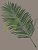 Лист пальмы