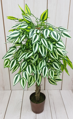 НоменклатураПрисоединенныеФайлы