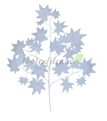 Картинка с сайта