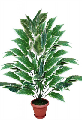 Декоративное дерево-А-00-79