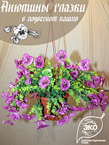 анютины глазки в подвесном кашпо