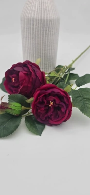 Роза