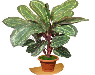 Картинка с сайта