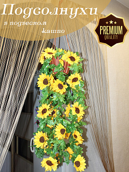 Подсолнухи в подвесном кашпо