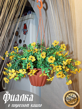 Фиалки в подвесном кашпо