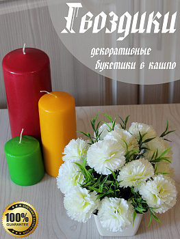 цветы в кашпо