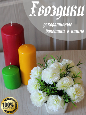 цветы в кашпо