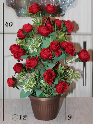 розы в горшке
