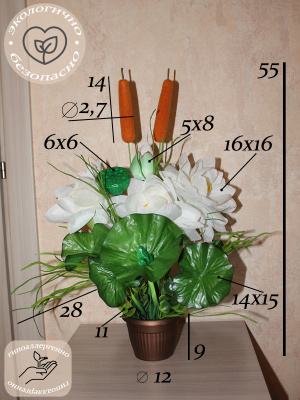 Лотос белый