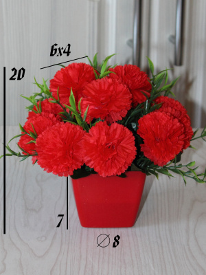 цветы в кашпо