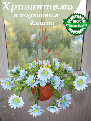 Цветы в подвесном кашпо