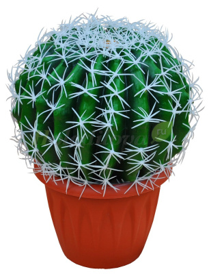 Картинка с сайта