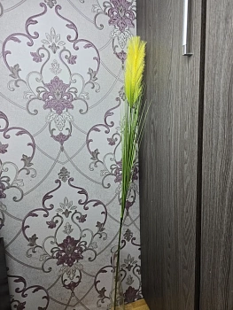 Пампасная трава