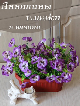 анютины глазки в вазоне