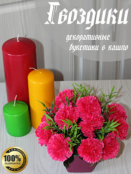 цветы в кашпо